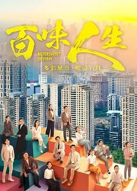 雾港回声第二季剧集封面